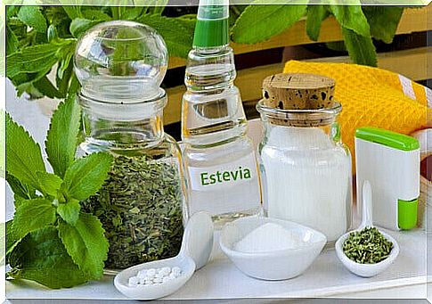 Stevia