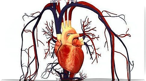 Atorvastatin and cardiovascular disease