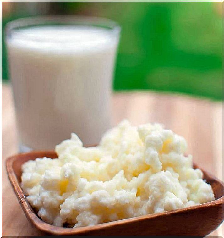 kefir