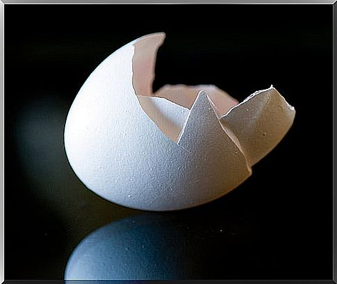 Foods rich in calcium: eggshell