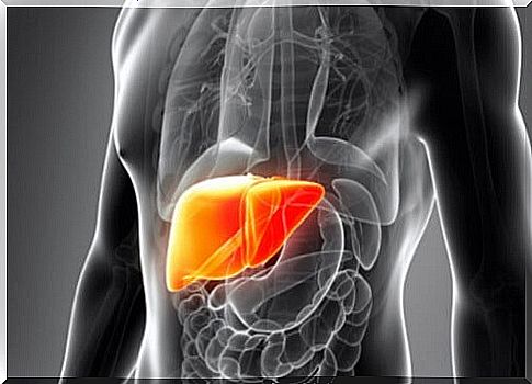 Purify the liver and gallbladder 