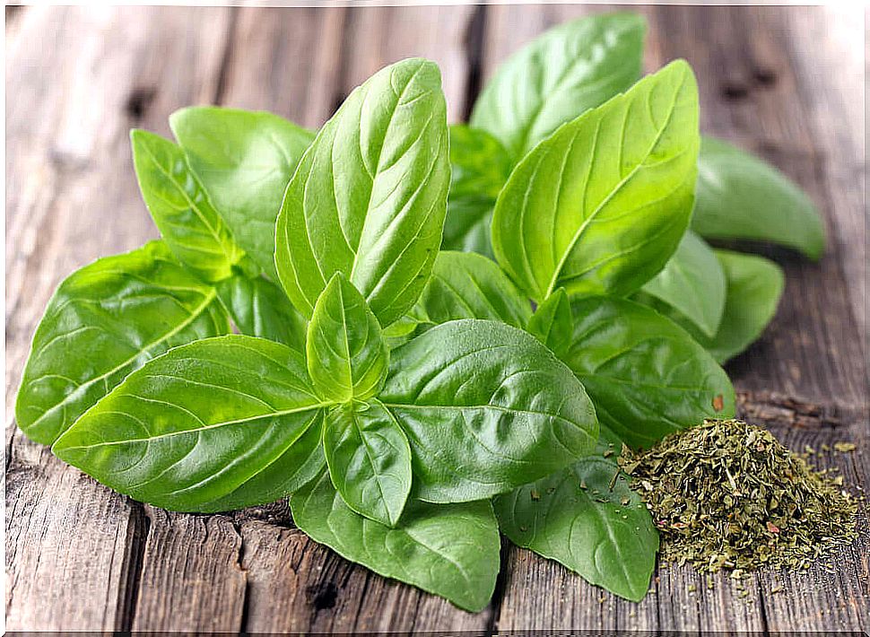 herbs to relieve tinnitus