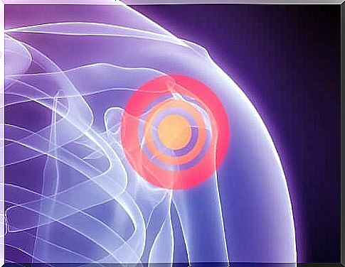 The location of the rotator cuff