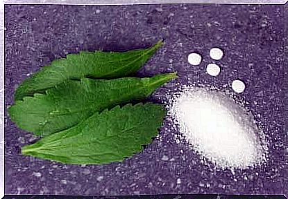 stevia