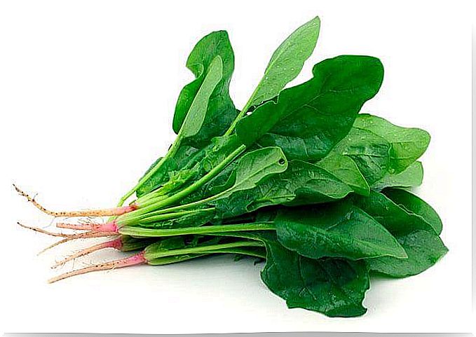 Spinach branches