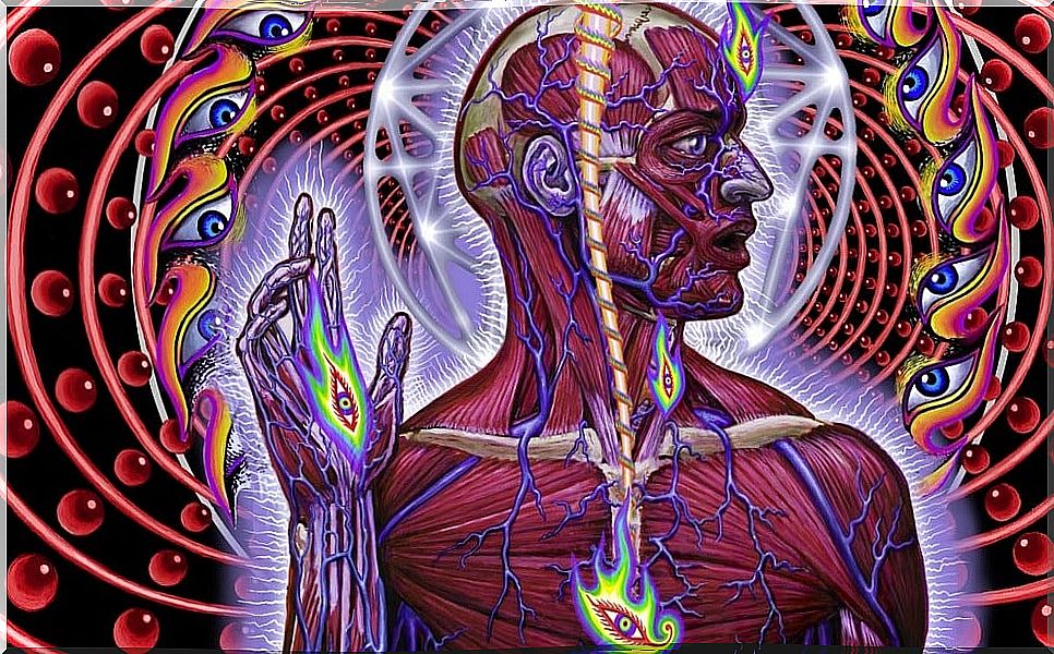 The third eye - the pineal gland